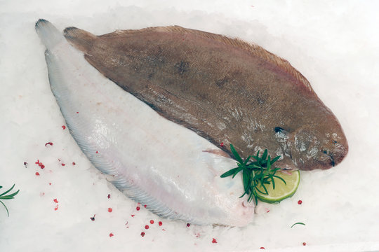 Seezunge Plattfische auf Eis Nordsee Fisch