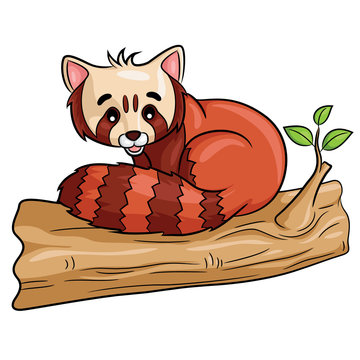 Red Panda Cartoon
Illustration of cute cartoon red panda.
