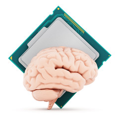 Microprocessor and human brain. 3D illustration