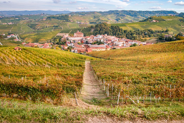 Langhe vitigni paesaggio collinare. Vigneti Langhe e Roero Piemonte Italy