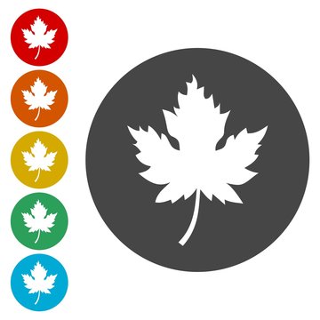 Vector Canadian Maple Leaf Roundel Icon 