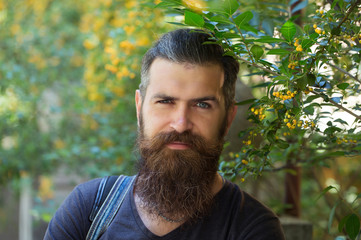 Young man hipster with beard