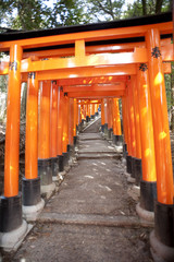 torii gate hill