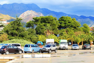 Obraz premium Car parking in front of green trees