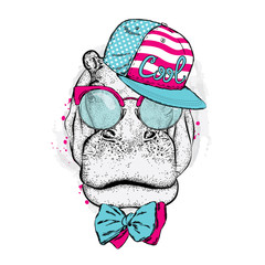 Fototapeta premium Cool hippo wearing a cap and sunglasses. Vector illustration for a card or poster. Print on clothes. Fashion & Style.