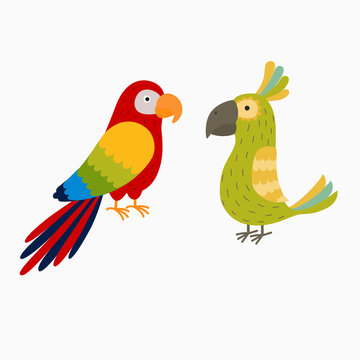 two bright parrot