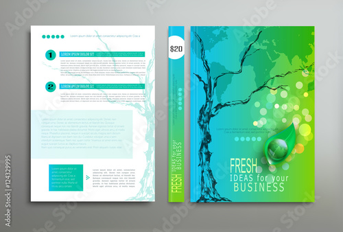 brochure book report