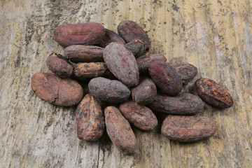 fèves de cacao 21102016