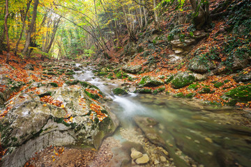 Beautiful autumn landscape with mountain river and colorful trees