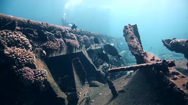 Divers visiting the wreck Giannis D, Red Sea, Sharm el Sheikh, Egypt