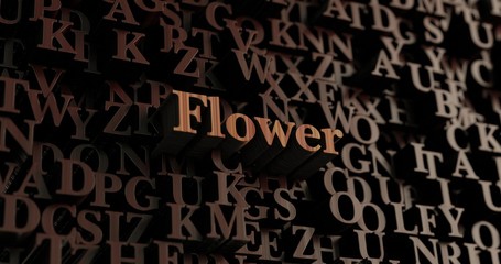 Flower - Wooden 3D rendered letters/message.  Can be used for an online banner ad or a print postcard.