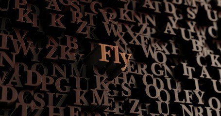 Fly - Wooden 3D rendered letters/message.  Can be used for an online banner ad or a print postcard.