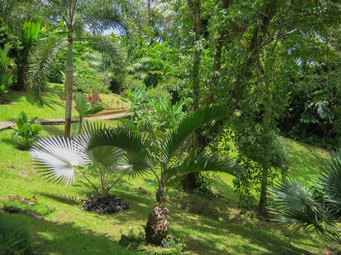 parc de l'ile