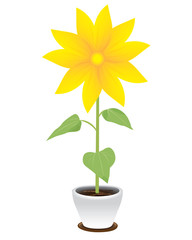 sunflower vector design