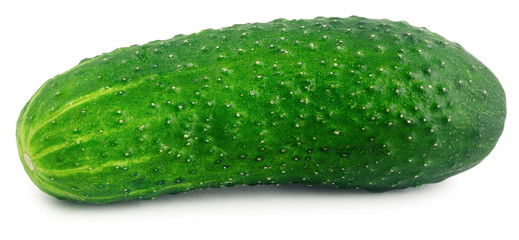 appetizing green cucumber isolated on a white background