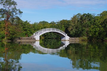 Fototapeta premium 大沼のアーチ橋