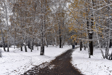 Track in autumn park covered with the first snow