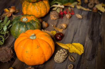 Decorative pumpkins on a wooden background