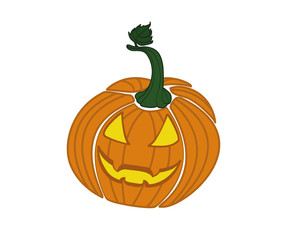 Pumpkin . Vector illustration on white background