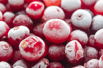 healthy red berries covered with frost as the sugar