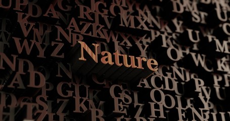 Nature - Wooden 3D rendered letters/message.  Can be used for an online banner ad or a print postcard.