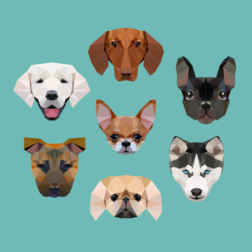 polygonal dogs vector set