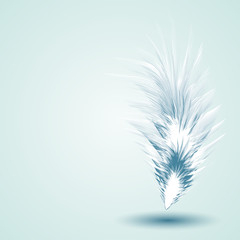 Vector Illustration of Feather