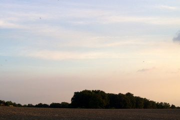 Felder Panorama