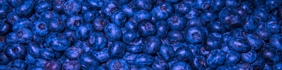 Dark banner for the site, blueberries.