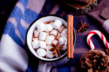 Hot cocoa with marshmallows with spices on the cozy blanket. Coffee, cocoa, chocolate, cinnamon, candy cane, cone, star anise, Winter Concept, Christmas mood, Cozy Time