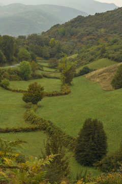Valle con arboles y monta&ntilde;as al fondo con los ti&igrave;cos colores del oto&ntilde;a