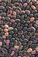 texture of the beans purple color. Background from seeds