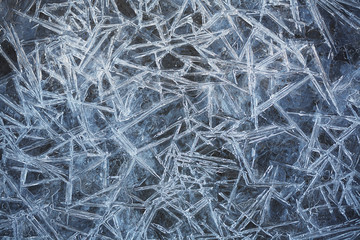 Needle ice crystals