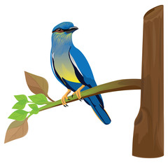 bird on branch vector design