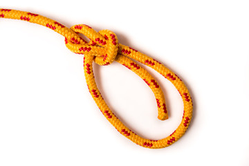bowline knot on white background