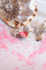 beautiful seashells of different sizes and a pink bath salt