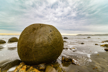 Moeraki boulders at coast in new zealand
