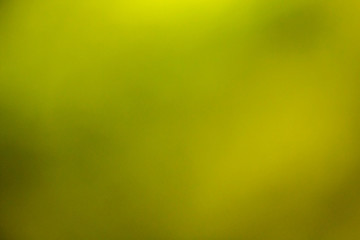 Abstract blurred green background and sunlight