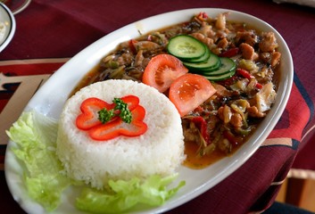 Chicken meat with savory sauce and curry and rice on a plate