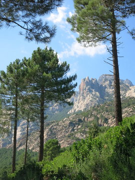 Korsika Bavella-Tal 1