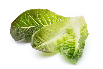 Cos Lettuce on the White Background.