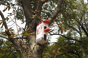 Small house for birds. Birdhouse.