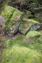 Mossy stones