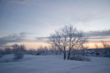 Winter morning before sunrise