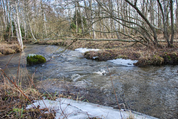 Fototapeta na wymiar Small creek by springtime