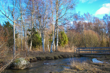 Fototapeta na wymiar Wooden bridge by a small creek