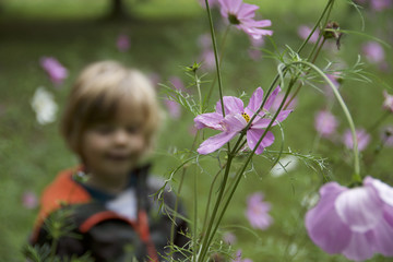 harrison in flowers