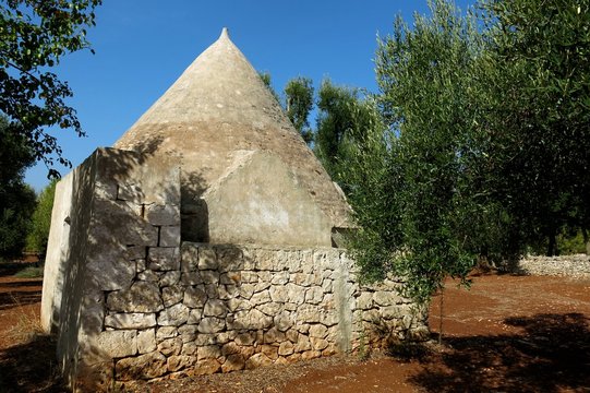 Trullo trulli in olive grove near Ostuni in Apulia, Italy. Trulli, plural of trullo, are dry stone structures with a conical roof specific to the Itria Valley. 