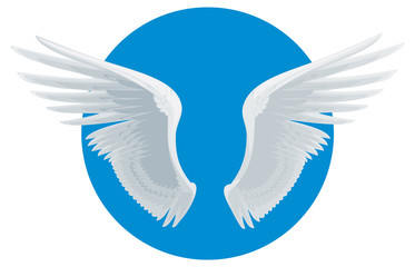 white wings on blue background