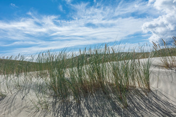 Fototapeta premium Sand dunes and blue sky